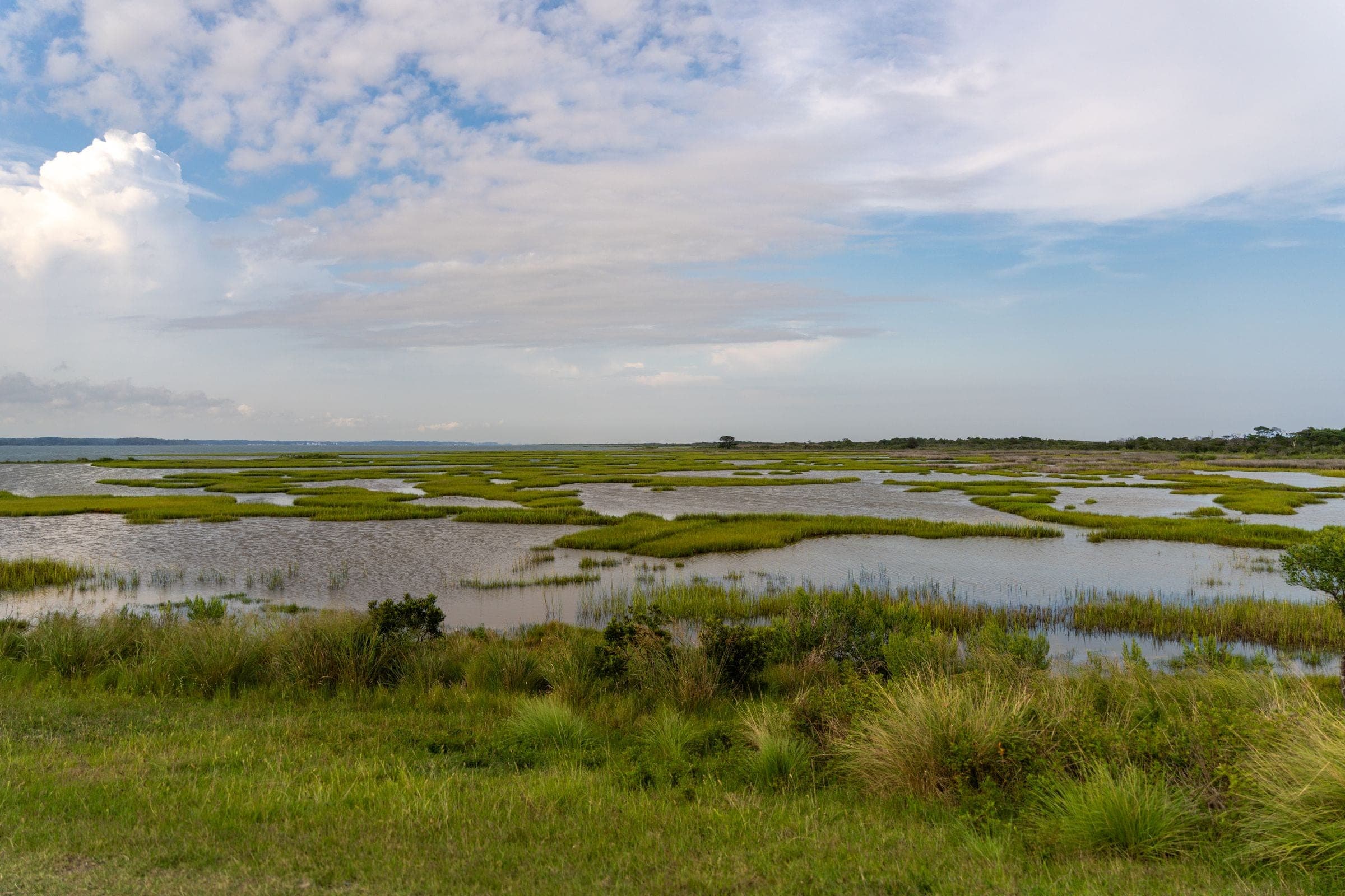 Salt marsh and shallow pools near Sackville, NB where we do junk removal